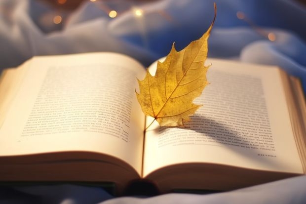 广东科贸职业学院怎么样 广东科贸职业学院学校地址在哪