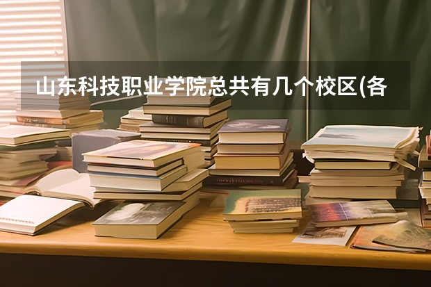 山东科技职业学院总共有几个校区(各专业新生在哪个校区)