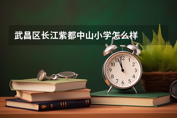 武昌区长江紫都中山小学怎么样