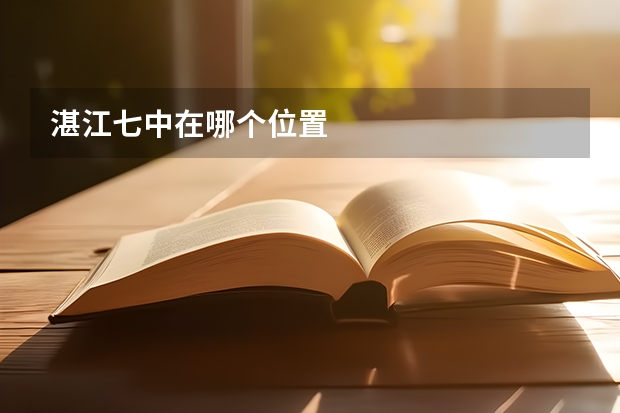 湛江七中在哪个位置