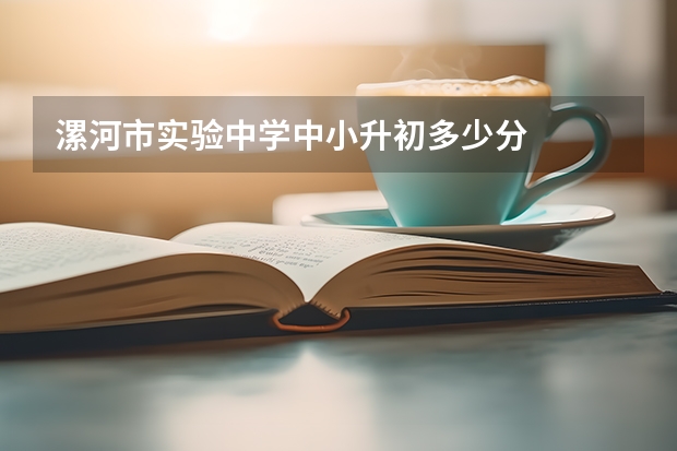 漯河市实验中学中小升初多少分